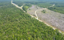 Tbd Lowcountry Highway, Yemassee, SC 29945