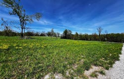 1009 Legacy Lane, Perryville, MO 63775