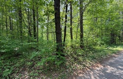 Lot 5 WYANDOCK DR, Minocqua, WI 54548
