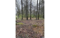 Lot 10,0.95 Ac Dry Creek Road, Cleveland, AL 35049