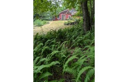 286 Pawpacton Trail, Downsville, NY 13755