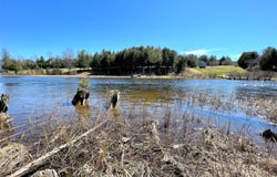 Off River Edge Drive, Cheboygan, MI 49721