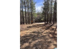 780 SWEET APPLE ROAD, CROPWELL, AL 35054