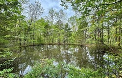 000 Hank Lane, Dixon, MO 65459