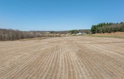 County Road S, Blair, WI 54616