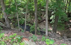 285 SCOTT STREET, NEWAYGO, MI 49337