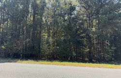 AIRLINE ROAD lot: 5, Dubach, LA 71235