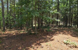 Hwy 182, Fair Play, SC 29643