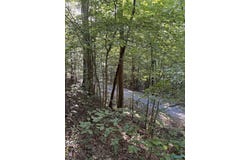 4.88 Acres Butler Mill Road, Grant, AL 35747