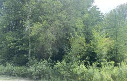 53 Woodland Drive, Trenton, ME 04605
