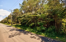 LIONA ST lot: 53-8-138, Volcano, HI 96785