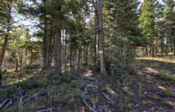 Vail Overlook S lot: 323, Angel Fire, NM 87710
