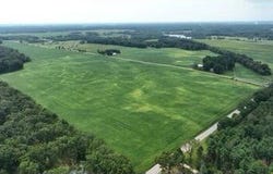 Sweet Lake Road, Burr Oak, MI 49030