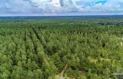 19.58 Sage Forest Ln, Pace, FL 32571