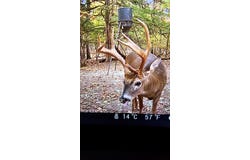 51.7 ac County Road 56, WATER VALLEY, MS 38965