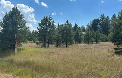 272 Hills Circle, Pagosa Springs, CO 81147