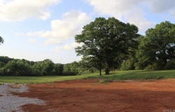 299 tract 2 harmony, Amity, AR 71921-0000
