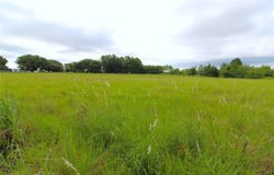Tbd Cr-4079, Scurry, TX 75158
