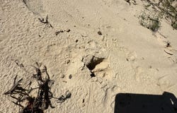 Parcel D1 Millside, Laurel Hill, FL 32567