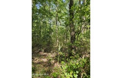 416 Sandy Ridge Road, Tyner, NC 27980
