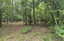 0 Raulston Falls Road, Jasper, TN 37347