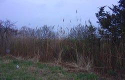 873 DOWNE AVENUE, FORTESCUE, NJ 08321