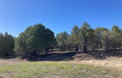 Parkview Hills Lots 8 and 9, Rutheron, NM 87551