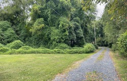 SILVER MAPLE Drive lot: 26, LINCOLN, DE 19960