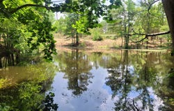 484 Naples Ln., Arab, AL 35016