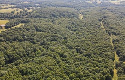 Private Drive Off Of Fr 1245, Aurora, MO 65605