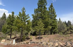 03 Kirby Court, Burney, CA 96013