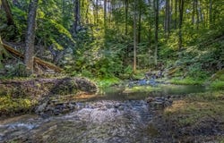Old Plank Road, Cragsmoor, NY 12420
