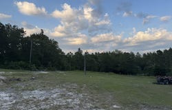 1413 Bettis Academy Road, Trenton, SC 29847