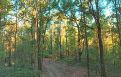 County Road 140, Selma, AL 36709