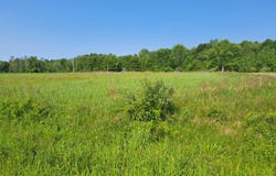 2 Acres Vl 36th Street, Gobles, MI 49055