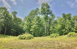 3.38 Acres County F Road, Antigo, WI 54409