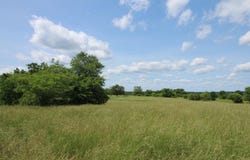 000 Couty Road 7830, Caulfield, MO 65626
