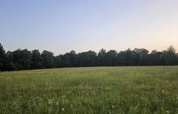 014 Tomahawk Slab Road, Saint Joe, AR 72675