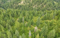 19960 N Mt Spokane Park Dr, Mead, WA 99021