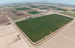 Hwy 111 & E Evan Hewes Hwy, El Centro, CA 92243