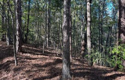 Smith County Road 18-5a, Bay Springs, MS 39422