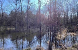 County Road 41, Prescott, AR 71857