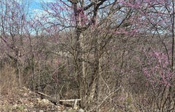 Tbd Hwy W, Lake Ozark, MO 65049