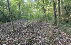 2561 Creek Chase Trl, Pace, FL 32571