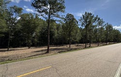 0 Harris Rd Tract 5, Albany, LA 70711