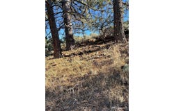 26710 Stirrup Way, Tehachapi, CA 93561