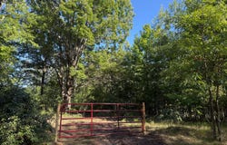 Par 4 Clements Road, Kaleva, MI 49645