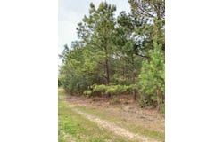 2405 HWY 88, Hephzibah, GA 30815