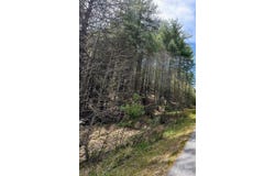 National Forest Drive unit: 132, Collettsville, NC 28611