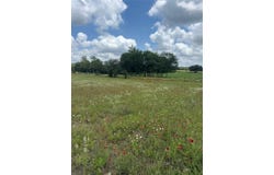 2135 Mule Creek Rd, Harwood, TX 78632